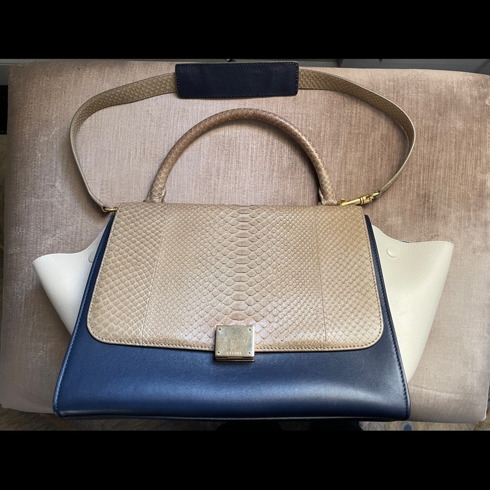 EUC Medium Celine Python Trapeze Bag